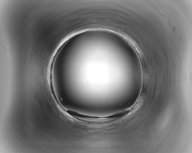 X0000087641535200705101037