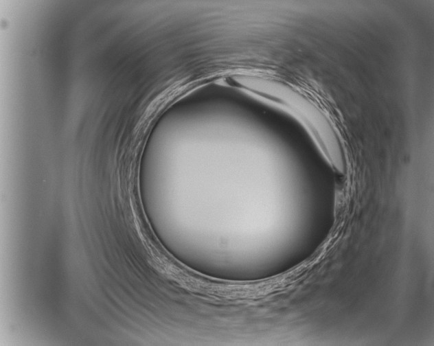 X0000087640001200705181537