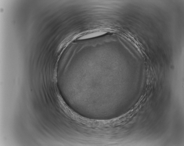 X0000087640002200705181537