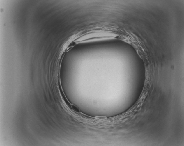 X0000087640003200705181537