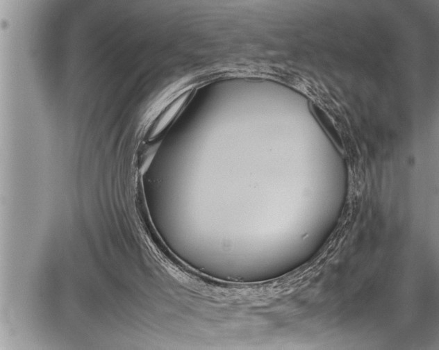 X0000087640005200705181537