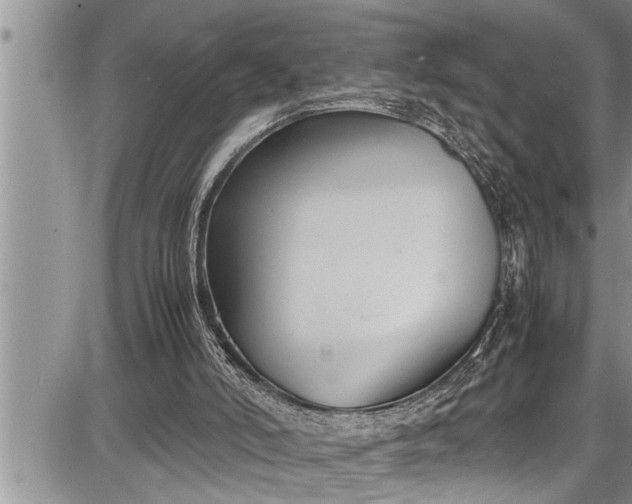 X0000087640006200705181537