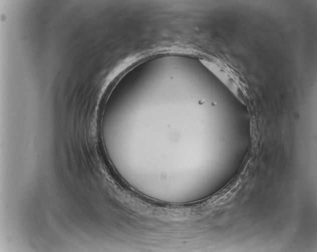 X0000087640008200705181537