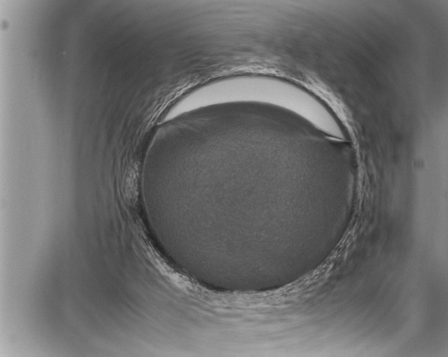 X0000087640009200705181537