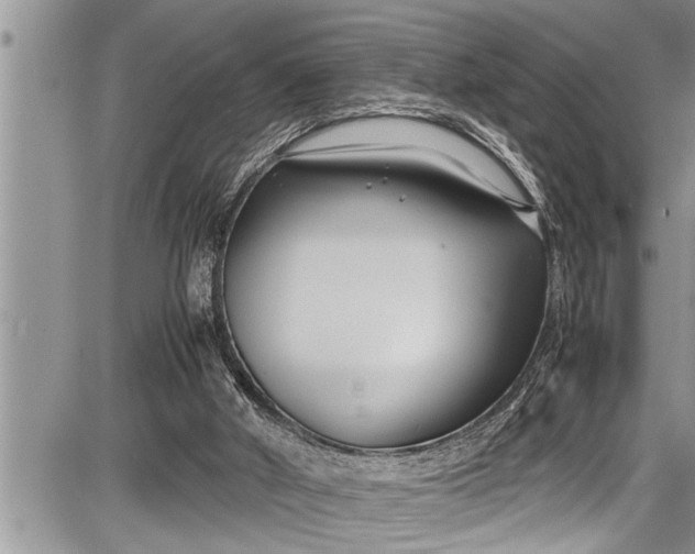 X0000087640010200705181537