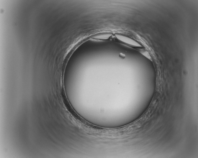 X0000087640011200705181537