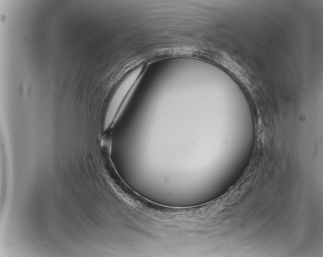 X0000087640013200705181537