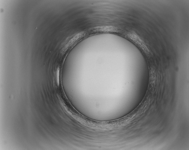 X0000087640014200705181537