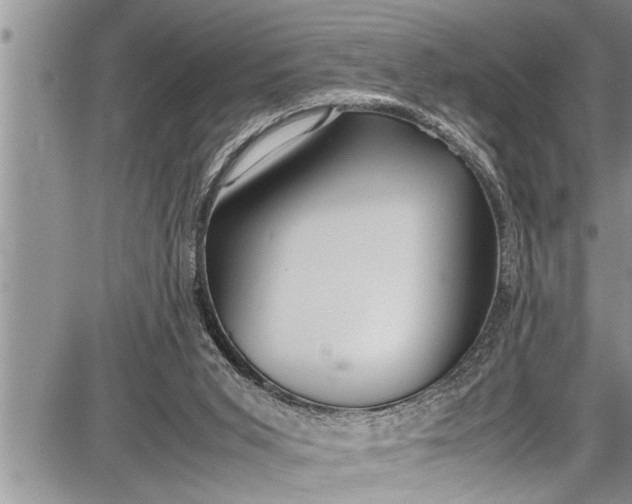 X0000087640015200705181537