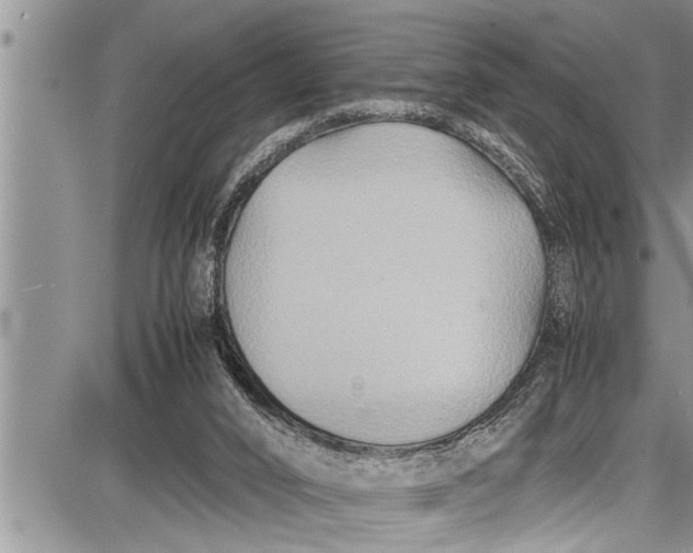 X0000087640016200705181537