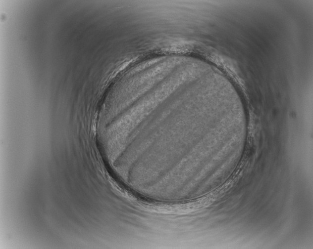 X0000087640017200705181537