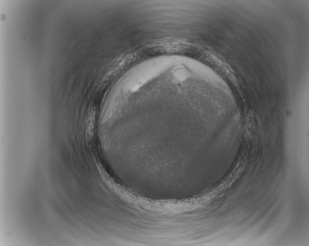 X0000087640018200705181537