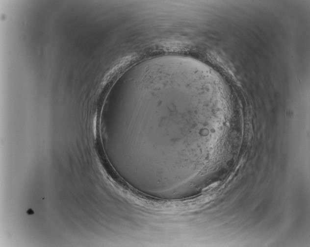 X0000087640019200705181537