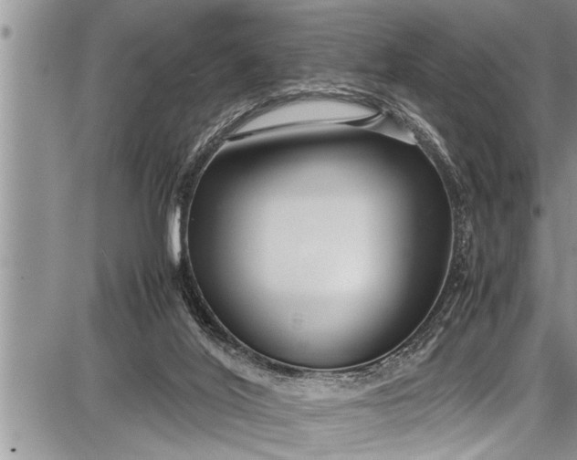 X0000087640020200705181537