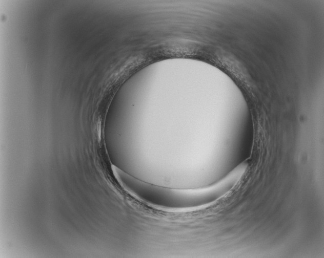 X0000087640021200705181537