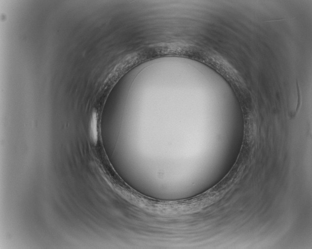 X0000087640022200705181537