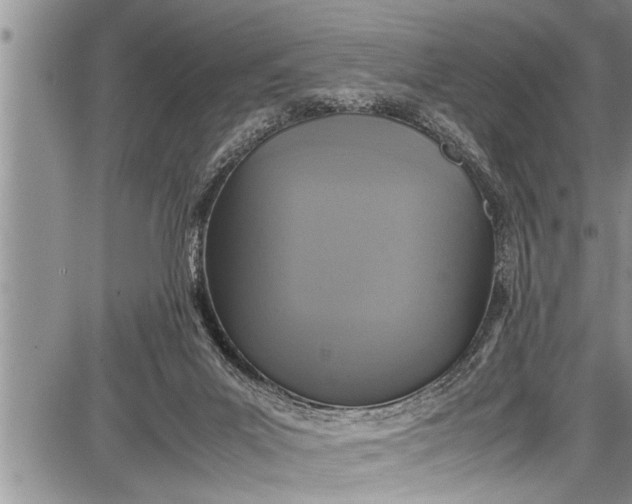 X0000087640023200705181537