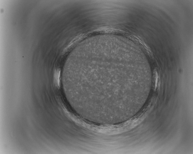 X0000087640024200705181537