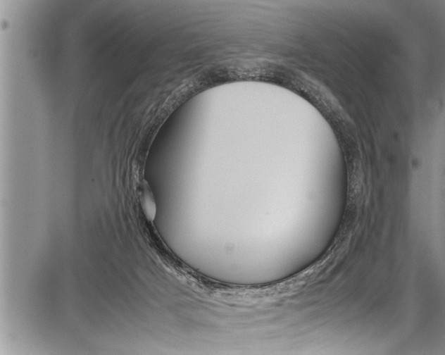 X0000087640025200705181537