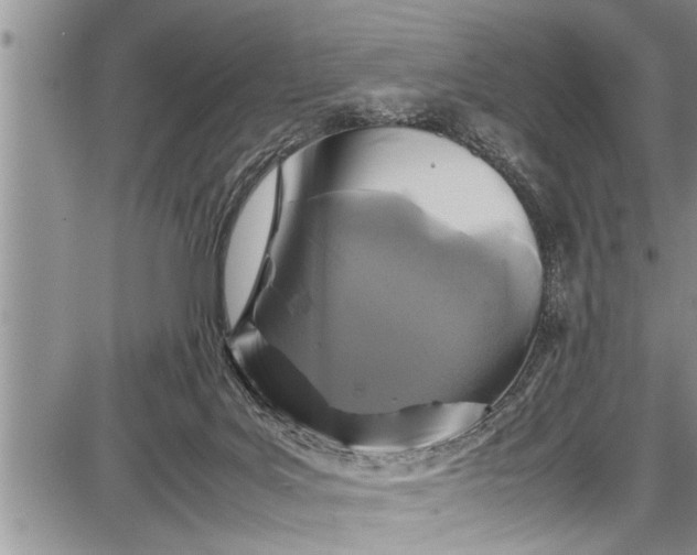 X0000087640027200705181537