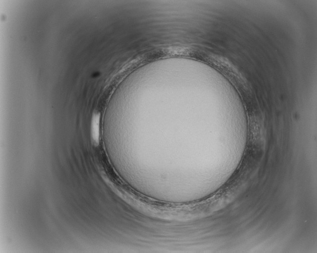 X0000087640028200705181537