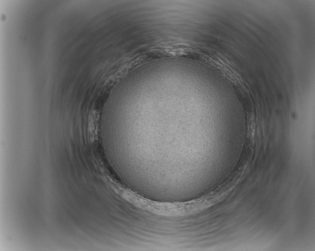 X0000087640030200705181536