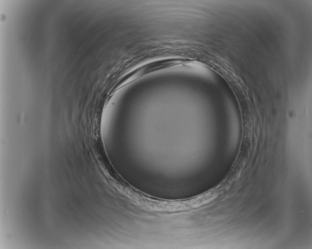 X0000087640031200705181536