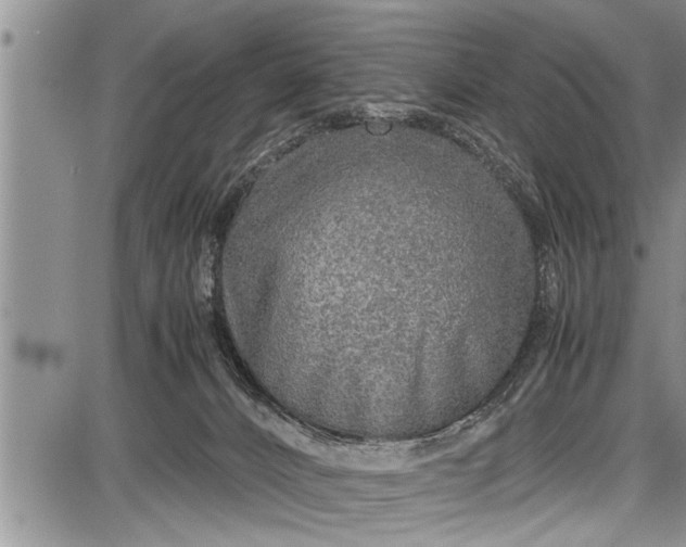 X0000087640032200705181536