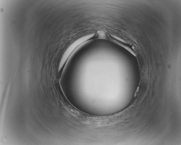 X0000087640033200705181536