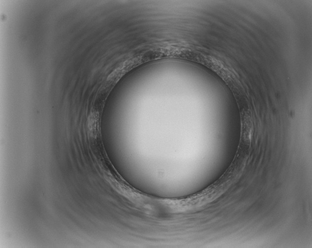 X0000087640034200705181536