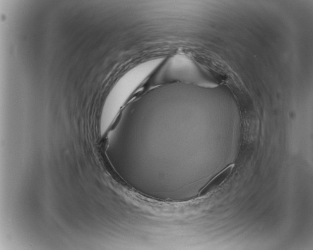 X0000087640035200705181536