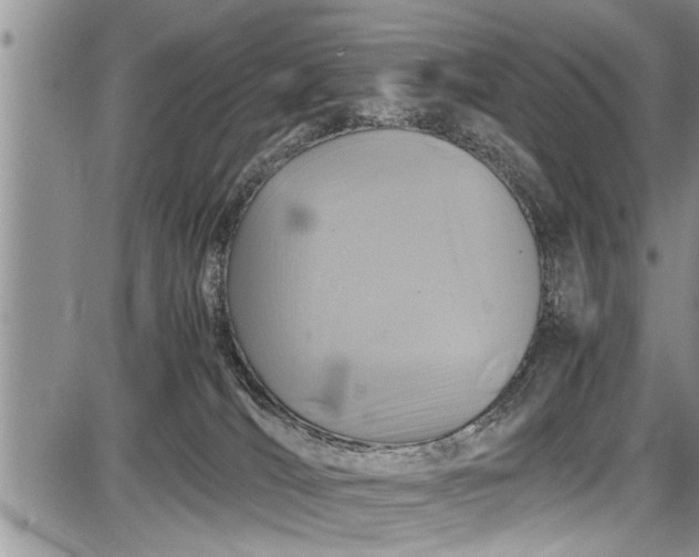 X0000087640036200705181536