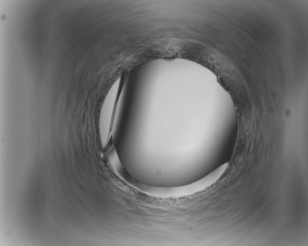 X0000087640037200705181536