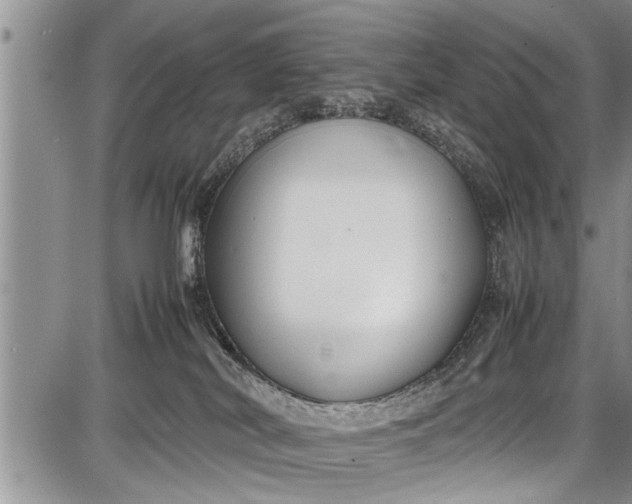 X0000087640038200705181536