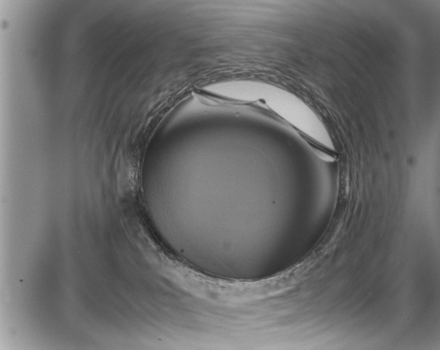 X0000087640039200705181536