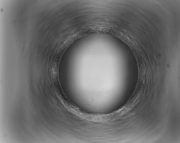 X0000087640040200705181536