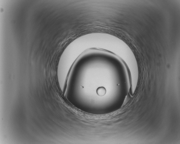 X0000087640043200705181536