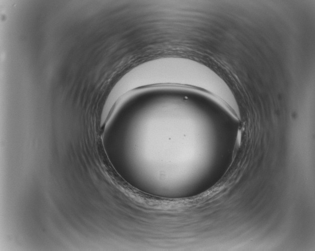 X0000087640044200705181536