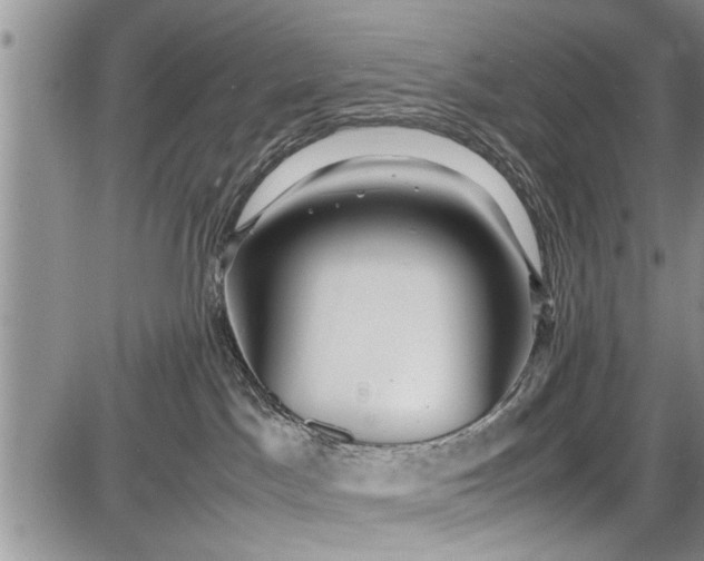 X0000087640045200705181536