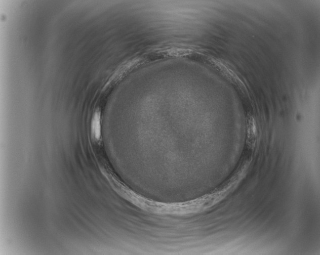 X0000087640046200705181536