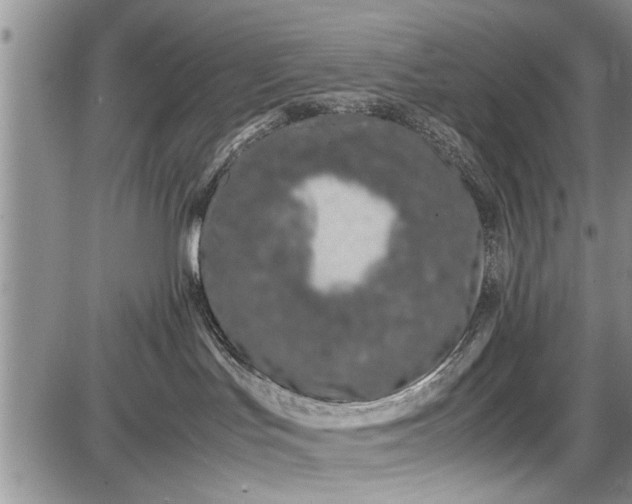 X0000087640047200705181536