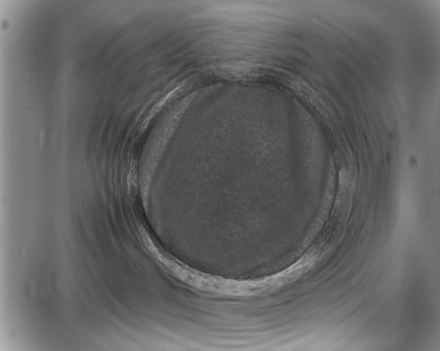 X0000087640048200705181536