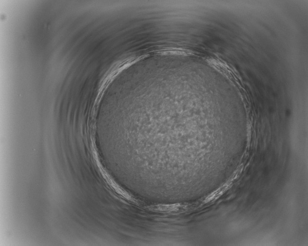 X0000087640049200705181535