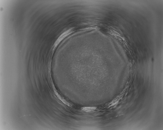 X0000087640051200705181535