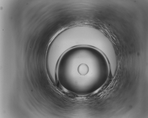 X0000087640052200705181535