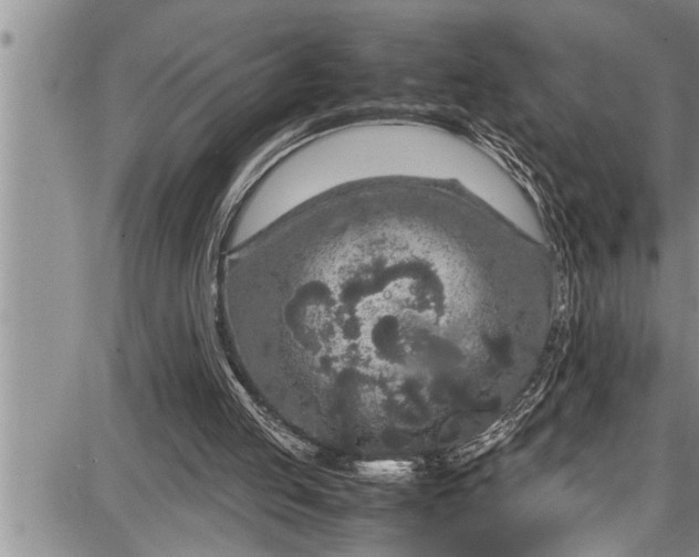 X0000087640053200705181535