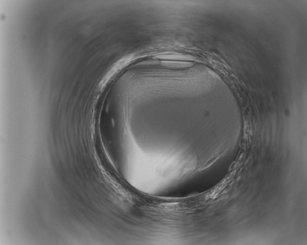 X0000087640054200705181535