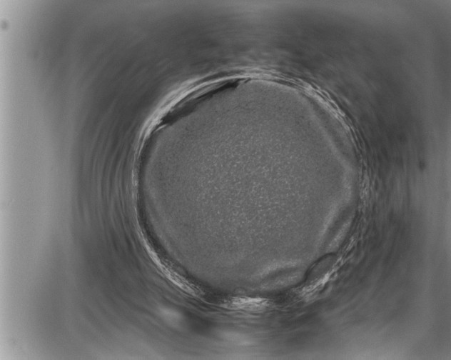 X0000087640055200705181535