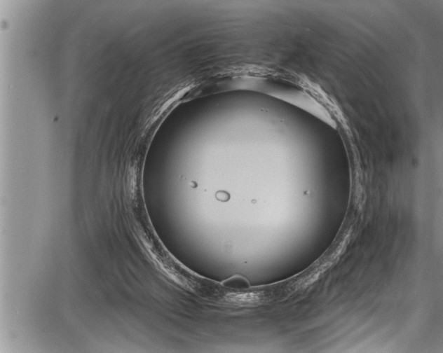 X0000087640057200705181536