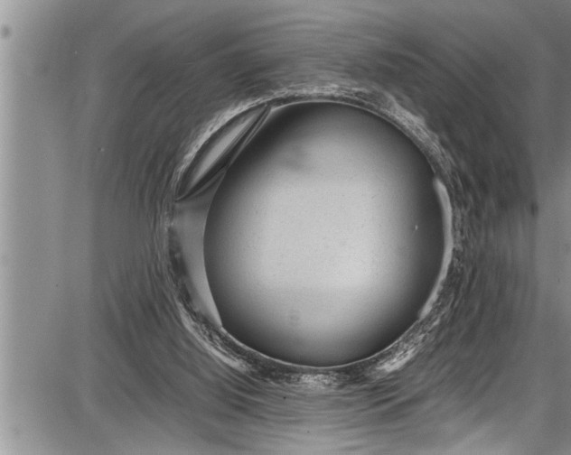 X0000087640060200705181536